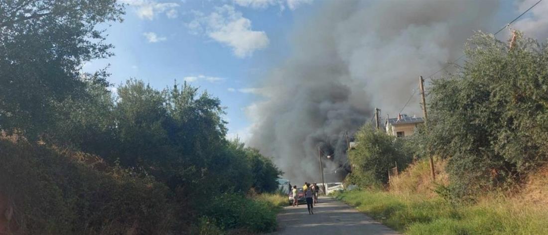 Εύβοια: Φωτιά σε δάσος στα Στύρα