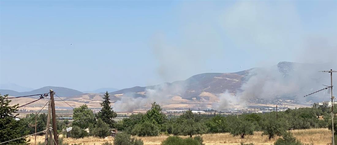 Εθνική Οδός: Φωτιά στην Θήβα (εικόνες)