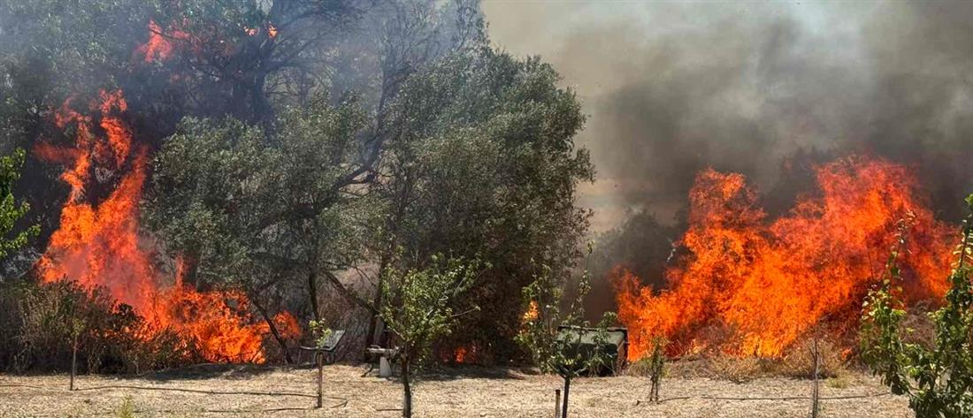 Πυροσβεστική: 34 αγροτοδασικές πυρκαγιές εκδηλώθηκαν το τελευταίο 24ωρο