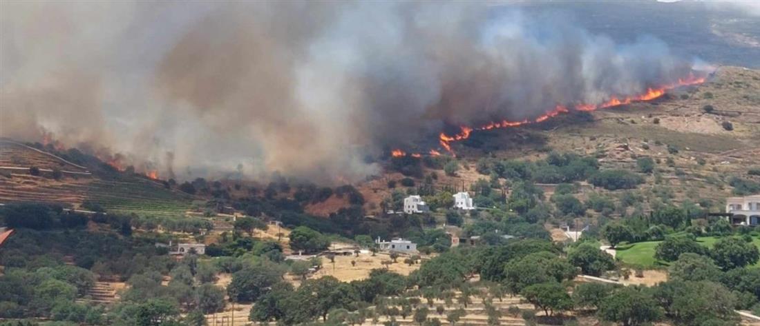 Άνδρος – φωτιά: Νύχτα αγωνίας με το φόβο της αναζωπύρωσης