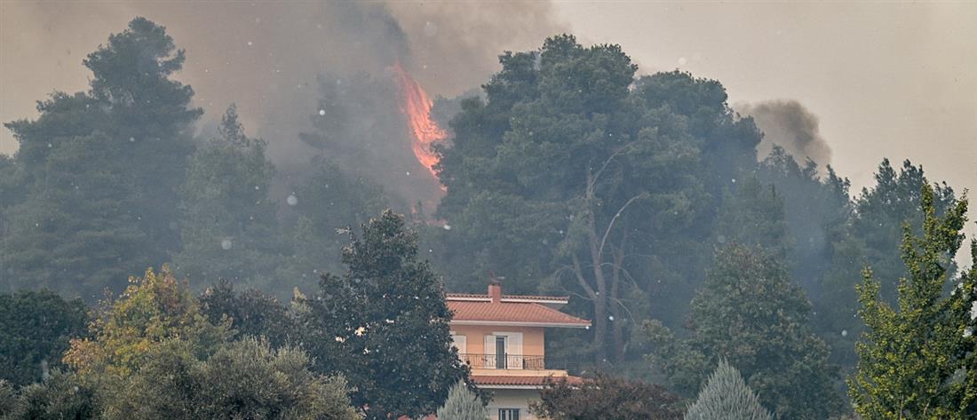 Φωτιά - Ηλεία: “Μάχη” σε 3 μέτωπα - 9 πυργκαγιές εκδηλώθηκαν από το πρωί σε περιοχές του νομού (εικόνες) 