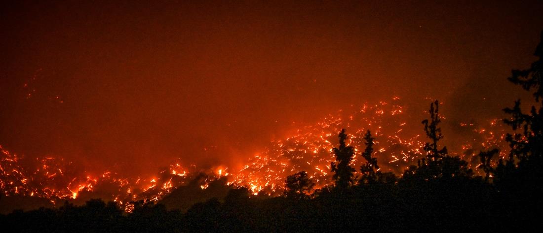 Φωτιές: Πολύ υψηλός κίνδυνος πυρκαγιάς σε μία Περιφέρεια την Δευτέρα (χάρτης)
