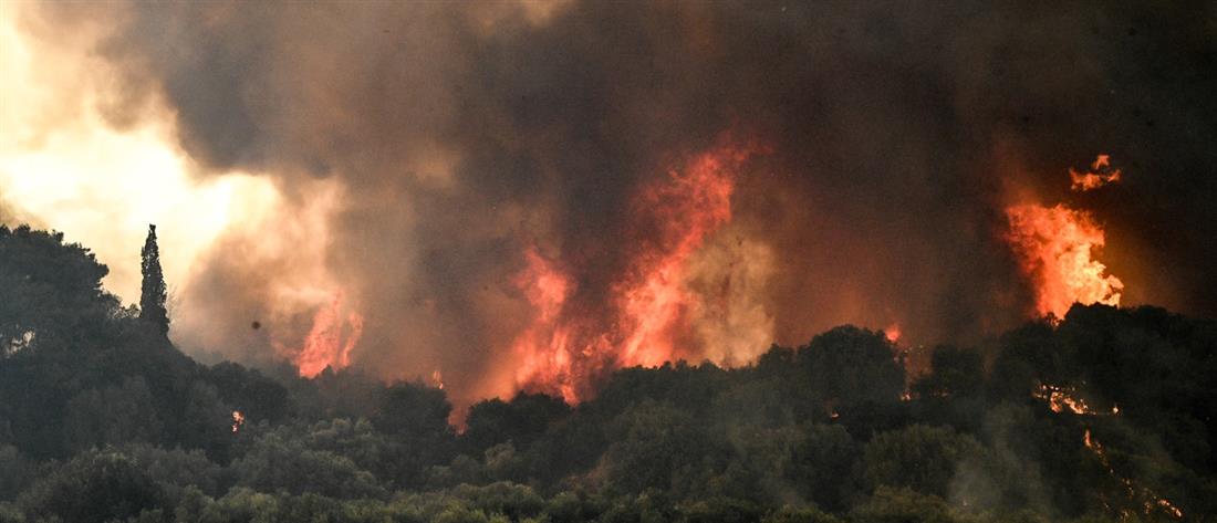 Πυροσβεστική: 34 αγροτοδασικές πυρκαγιές εκδηλώθηκαν το τελευταίο 24ωρο
