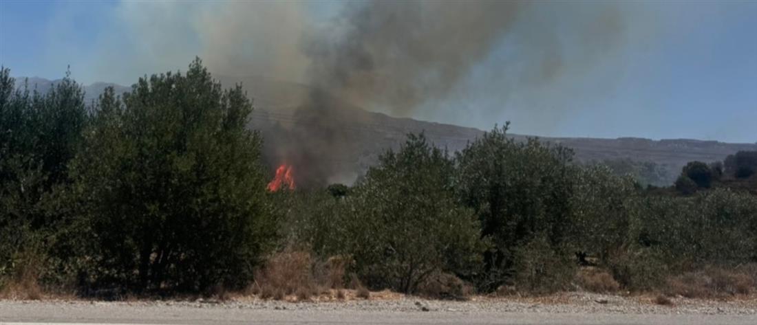 Λέσβος: Φωτιά στην Κάπη – Στη μάχη και εναέρια μέσα