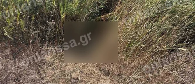 Λάρισα: Τραγική κατάληξη με την εξαφάνιση 72χρονης - Εντοπίστηκε νεκρή σε αρδευτικό κανάλι