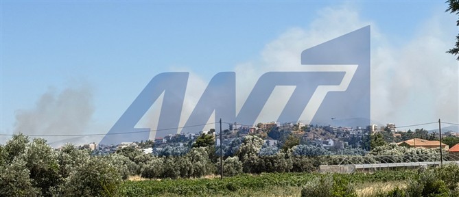 Φωτιά στα Σπάτα: Σηκώθηκαν και εναέρια μέσα - Μήνυμα του 112 για ετοιμότητα
