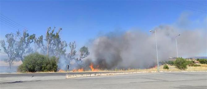 Φωτιά στην περιοχή Άγιος Σώστης στηνΤρίπολη Αρκαδίας (εικόνες)