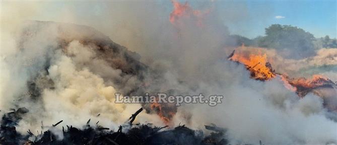 Φθιώτιδα: Συναγερμός στην Πυροσβεστική για επικίνδυνη φωτιά σε σκουπίδια (βίντεο)
