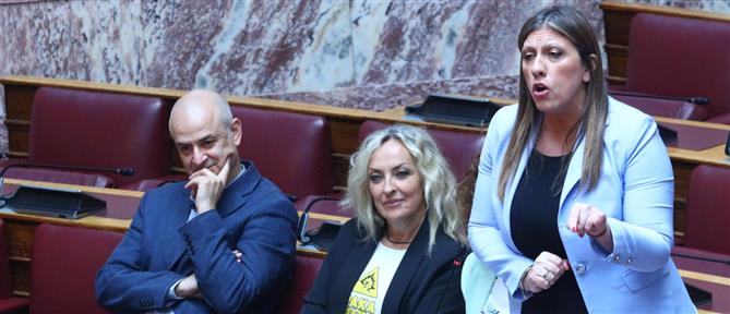 Κωνσταντοπούλου για ΟΠΕΚΕΠΕ: Παίρνετε στις πλάτες σας την ευθύνη του ξεπλύματος Βορίδη και Αυγενάκη