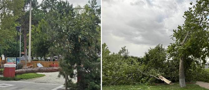 Πτολεμαΐδα: Επί ποδός η πυροσβεστική - Αντιμετωπίζουν πτώσεις δέντρων και εστίες φωτιάς