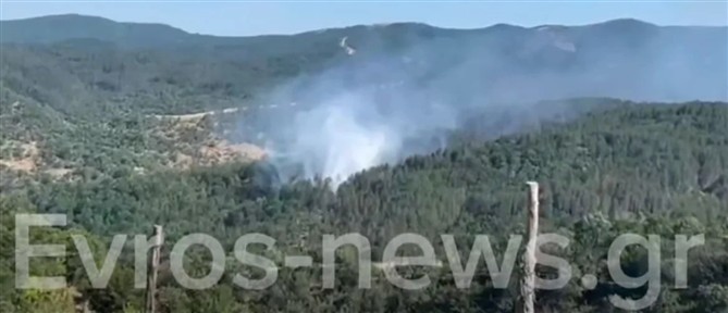 Έβρος: Φωτιά σε δασική έκταση