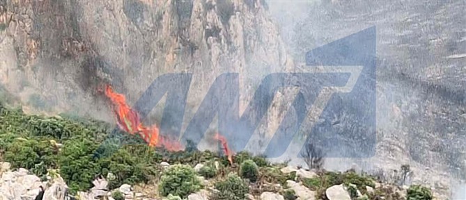 Μαίνεται η φωτιά στο Ακραίφνιο Βοιωτίας - Κλειστή η Αθηνών-Λαμίας, ενισχύονται οι δυνάμεις της Πυροσβεστικής