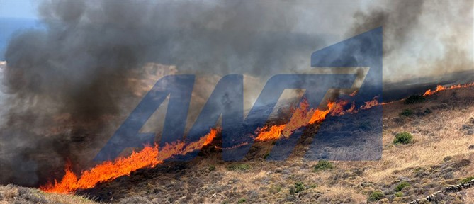 Οριοθετήθηκε η πυρκαγιά σε χορτολιβαδική έκταση στην Σύρο (βίντεο)