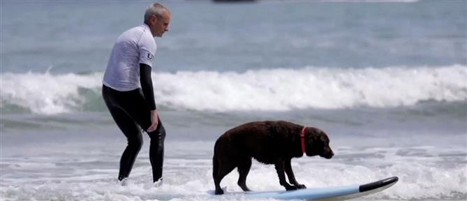 Ισπανία: Διαγωνισμός σέρφινγκ με σκυλιά να δαμάζουν τα κύματα (βίντεο)