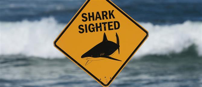 Αυστραλία: Επίθεση καρχαρία - Νεκρή μια 20χρονη
