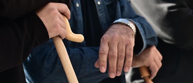 Αγροτικές επιδοτήσεις: Τα βασικά χαρακτηριστικά του μεταβατικού συστήματος πληρωμών και ελέγχων για το 2025