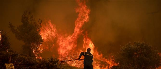 Σέρρες: Φωτιά σε δασική έκταση