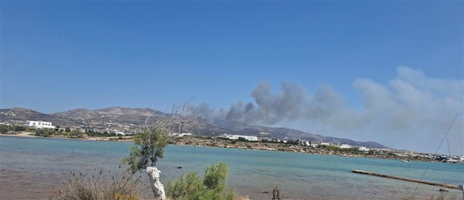 Ενισχύθηκαν οι πυροσβεστικές δυνάμεις στην Πάρο - Στο σημείο πυροσβέστες από Σύρο, Νάξο και Αθήνα
