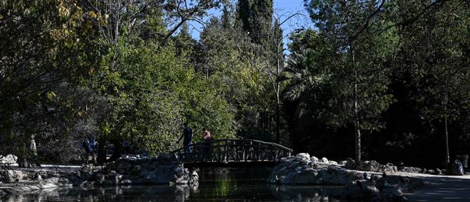 Δήμος Αθηναίων:  Κλειστός ο Εθνικός Κήπος