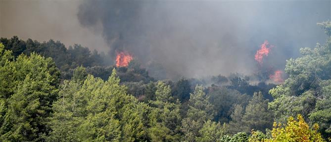 Φωτιά στην Ηλεία: Πυροσβέστης τραυματίστηκε στη μάχη με τις φλόγες