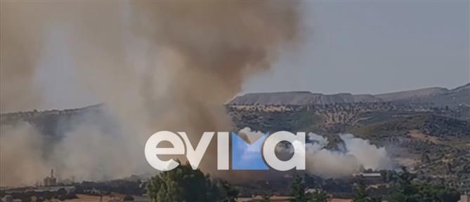 Φωτιά στην Εύβοια καίει δασική έκταση (εικόνες)
