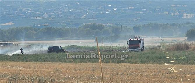Φθιώτιδα: Νέα φωτιά στον κάμπο του Σπερχειού (βίντεο)