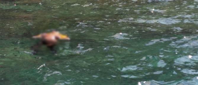 Εντοπίστηκε σορός άγνωστου άνδρα σε προχωρημένη σήψη στη θάλασσα