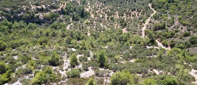 Σίκινος: Εντοπίστηκε σκελετός που ανήκει σε εξαφανισμένη Γαλλίδα τουρίστρια