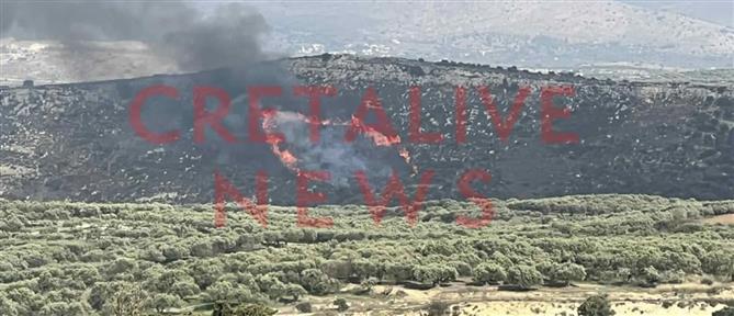 Φωτιά τώρα στο Ηράκλειο – Κινητοποίηση της Πυροσβεστικής (εικόνες)