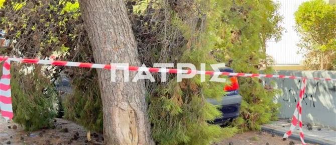 Ηράκλειο: Δέντρο έπεσε πάνω σε αυτοκίνητο