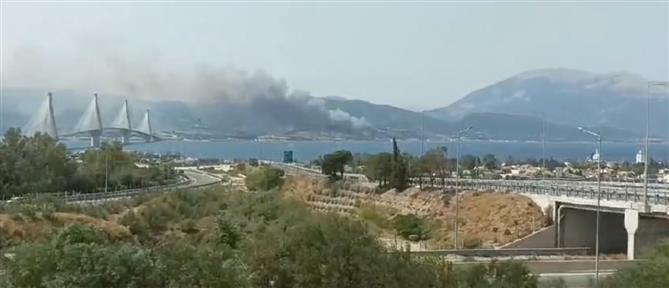 Ναυπακτία: Φωτιά κοντά σε σπίτια στον Πλατανίτη - Εκκένωση του οικισμού (βίντεο)