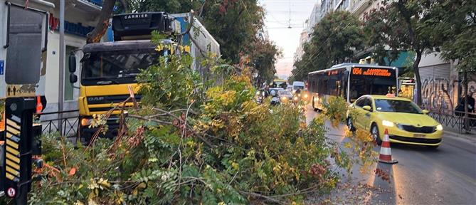 Αθήνα: Δέντρο έπεσε πάνω σε αυτοκίνητο (βίντεο)