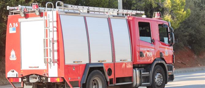 Μεσσηνία: Φωτιά σε αγροτοδασική έκταση