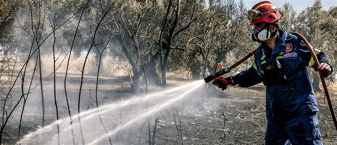 Πυρκαγιές σε δασικές εκτάσεις στη Πρέβεζα