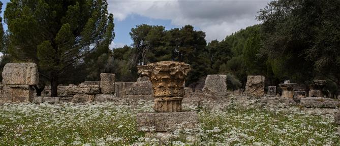 Επαναπατρίστηκε αρχαίο κιονόκρανο από τη Γερμανία (εικόνα)