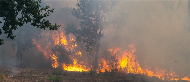 Μεγάλη φωτιά απειλεί τις περιφέρειες του Μπορντό - 220.000 κάτοικοι απομακρύνθηκαν από τις εστίες τους