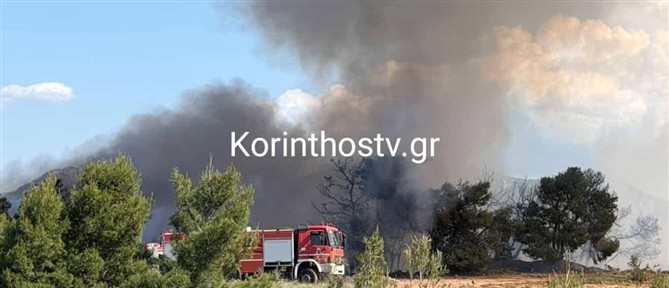 Φωτιά σε δασική έκταση στο Ζευγολατιό Κορινθίας - Μεγάλη κινητοποίηση της Πυροσβεστικής (βίντεο)
