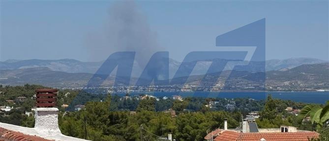 Εύβοια: Καίγεται δασική έκταση