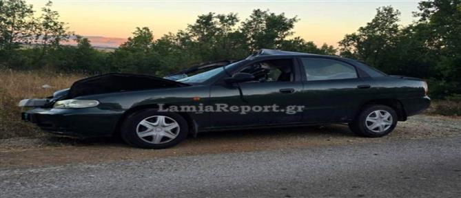 Φθιώτιδα: Τροχαίο με αγελάδα - Τραυματίστηκε σοβαρά μια γυναίκα (εικόνες)