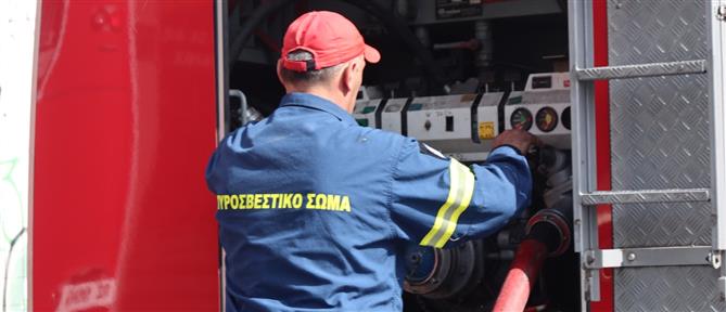 Πυροσβεστική: 31 αγροτοδασικές πυρκαγιές το τελευταίο εικοσιτετράωρο