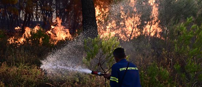 Φωτιές - Κικίλιας: Σήμερα, στην Αττική, αντιμετωπίστηκαν δύο εξαιρετικά επικίνδυνες πυρκαγιές