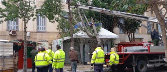 Ηράκλειο: Δέντρο ξεριζώθηκε και έπεσε πάνω σε περίπτερο (εικόνες)