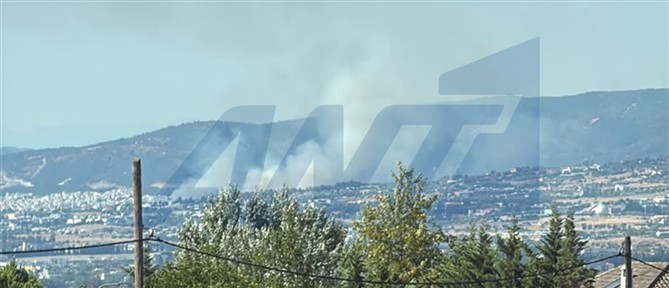 Φωτιά στην Πυλαία Θεσσαλονίκης - Ήχησε το 112