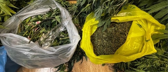 Κάνναβη και κοκαΐνη κυριαρχούν στην Ελλάδα - Πώς αλλάζει ο χάρτης των ναρκωτικών