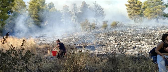 Φωτιά κοντά σε σπίτια στο Βόλο - Στη μάχη και τα εναέρια μέσα