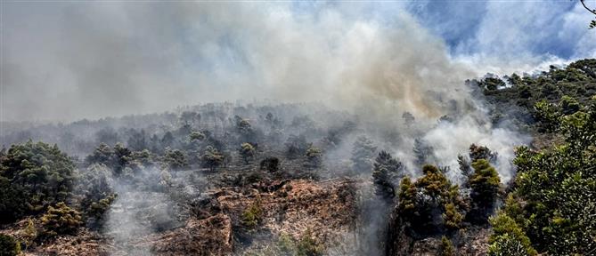 Φωτιά τώρα στην Κω