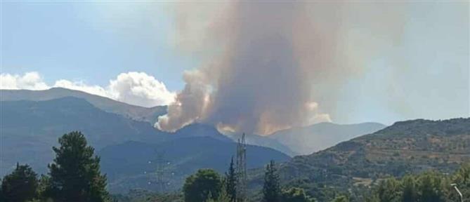 Φωτιά στην Αχαΐα: Ορατός ο καπνός από την πόλη
