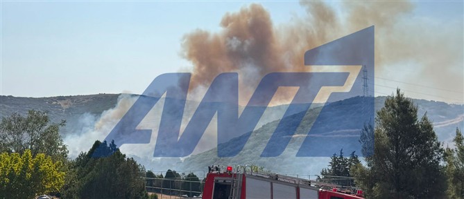 Πυρκαγιά στο Περιβαλλοντικό Πάρκο Δερβενίου στη Θεσσαλονίκη