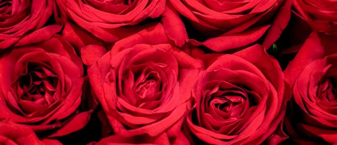 Εορτολόγιο: Ποιοι γιορτάζουν σήμερα 14 Νοεμβρίου