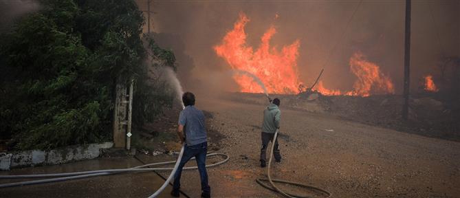 Εύβοια: Καταβάλλονται προσπάθειες να περιοριστεί καταστροφική πυρκαγιά